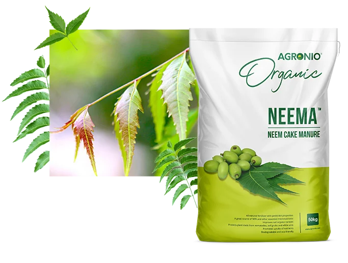Neem
