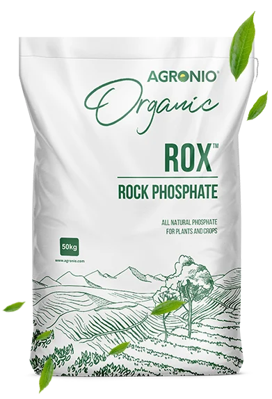 Rock-Phosphate-1